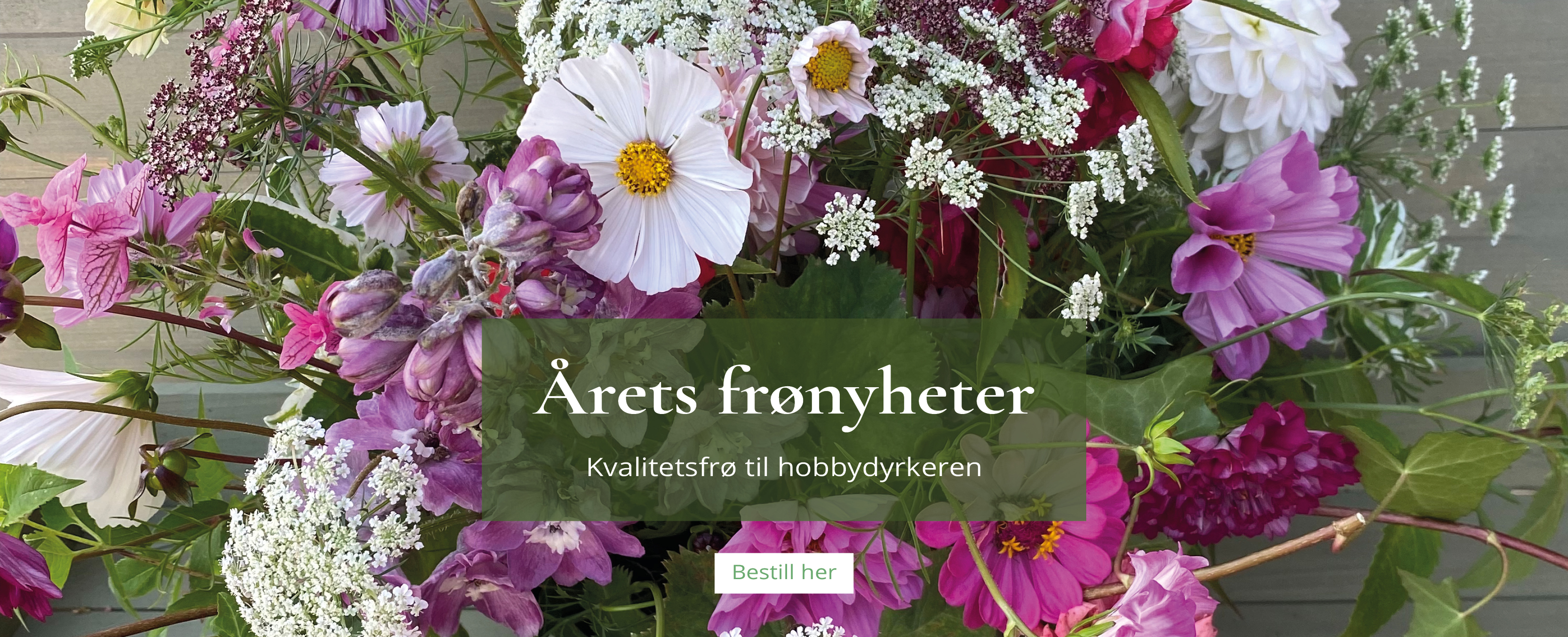 Frønyheter 2025 - Kvalitetsfrø til hobbydyrkeren