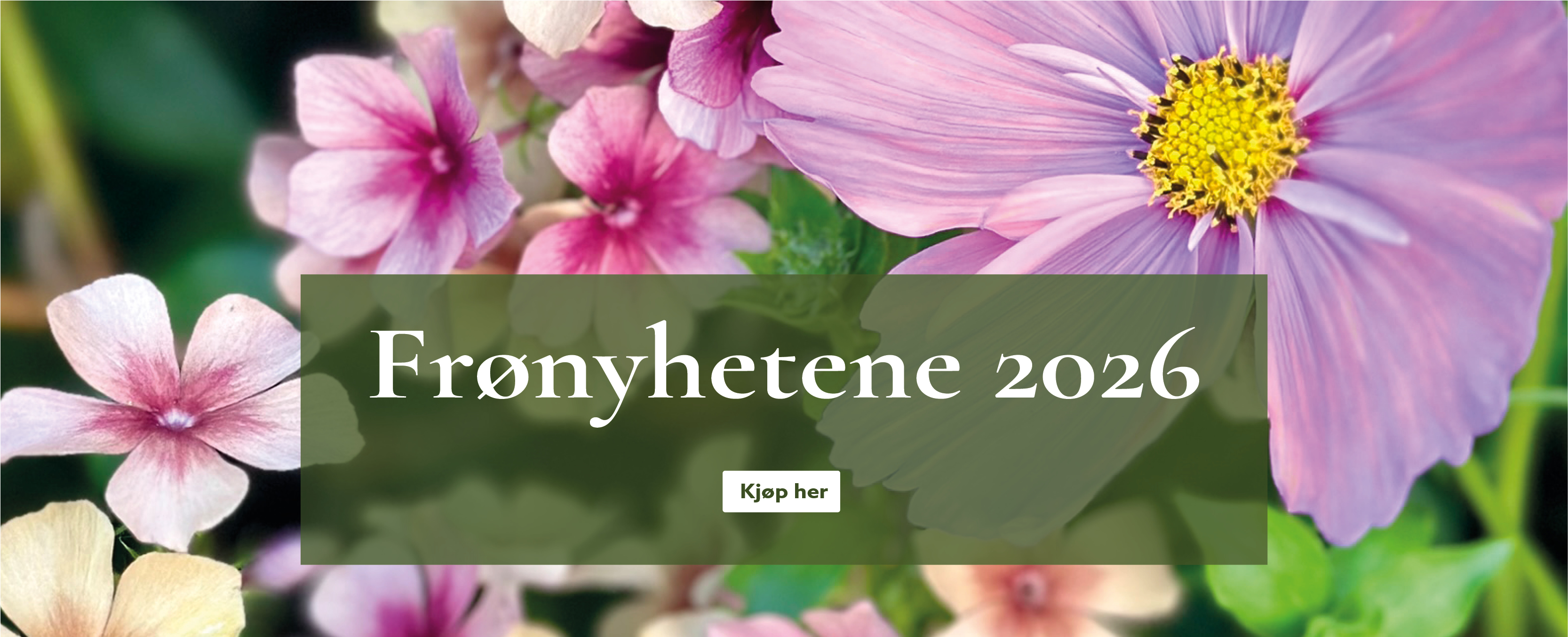 Frønyheten 2026 - bestill på nett